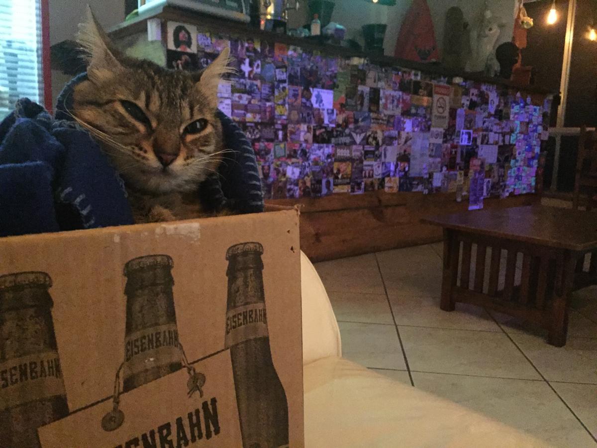 Vidigal Hostel Bar 리오데자네이루 외부 사진